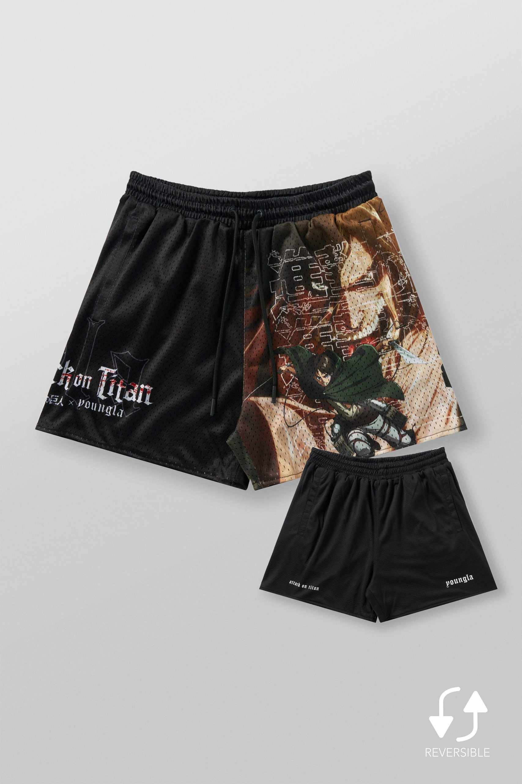 1126 - AOT? x YLA Mesh Shorts - Image 6