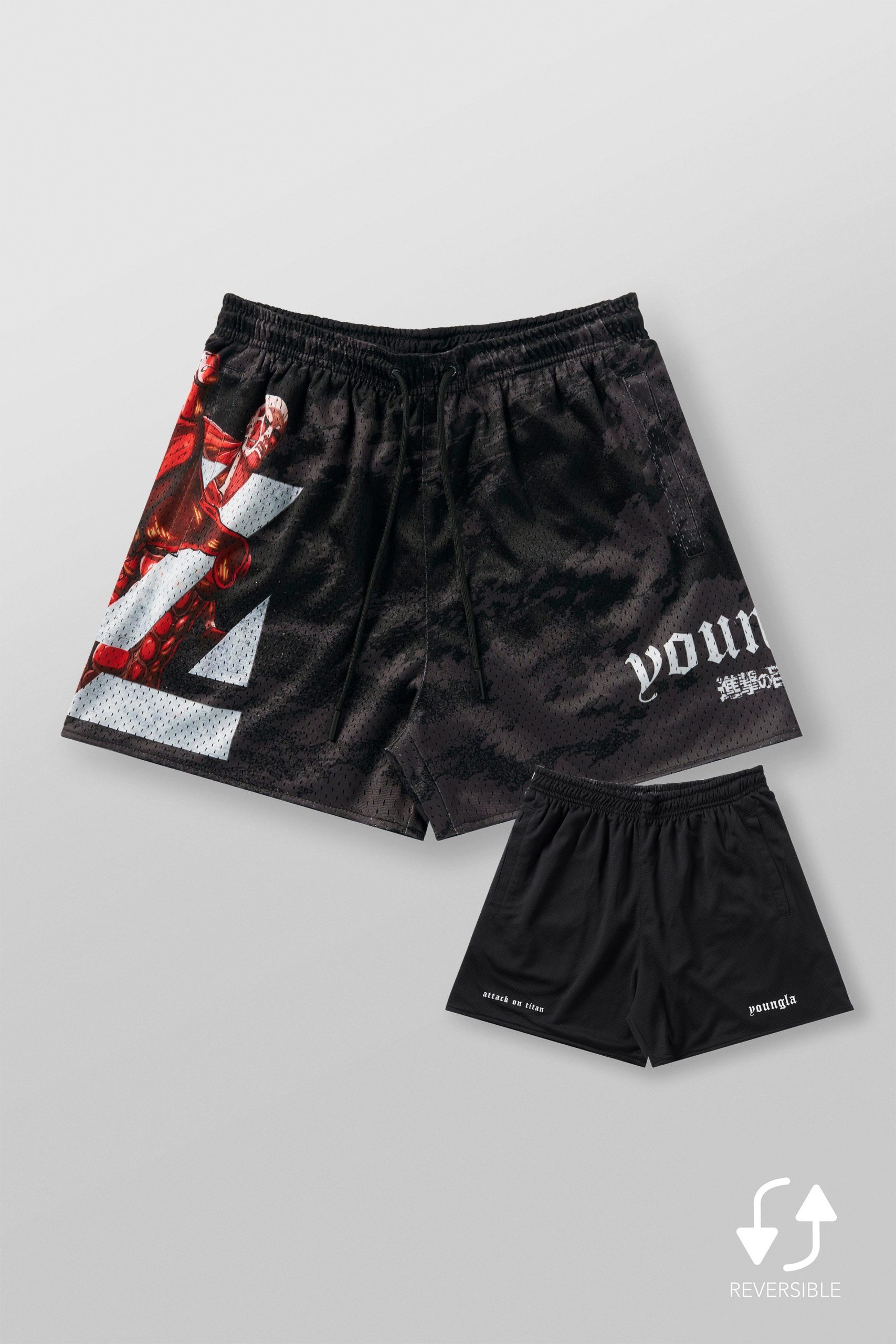1126 - AOT? x YLA Mesh Shorts - Image 10