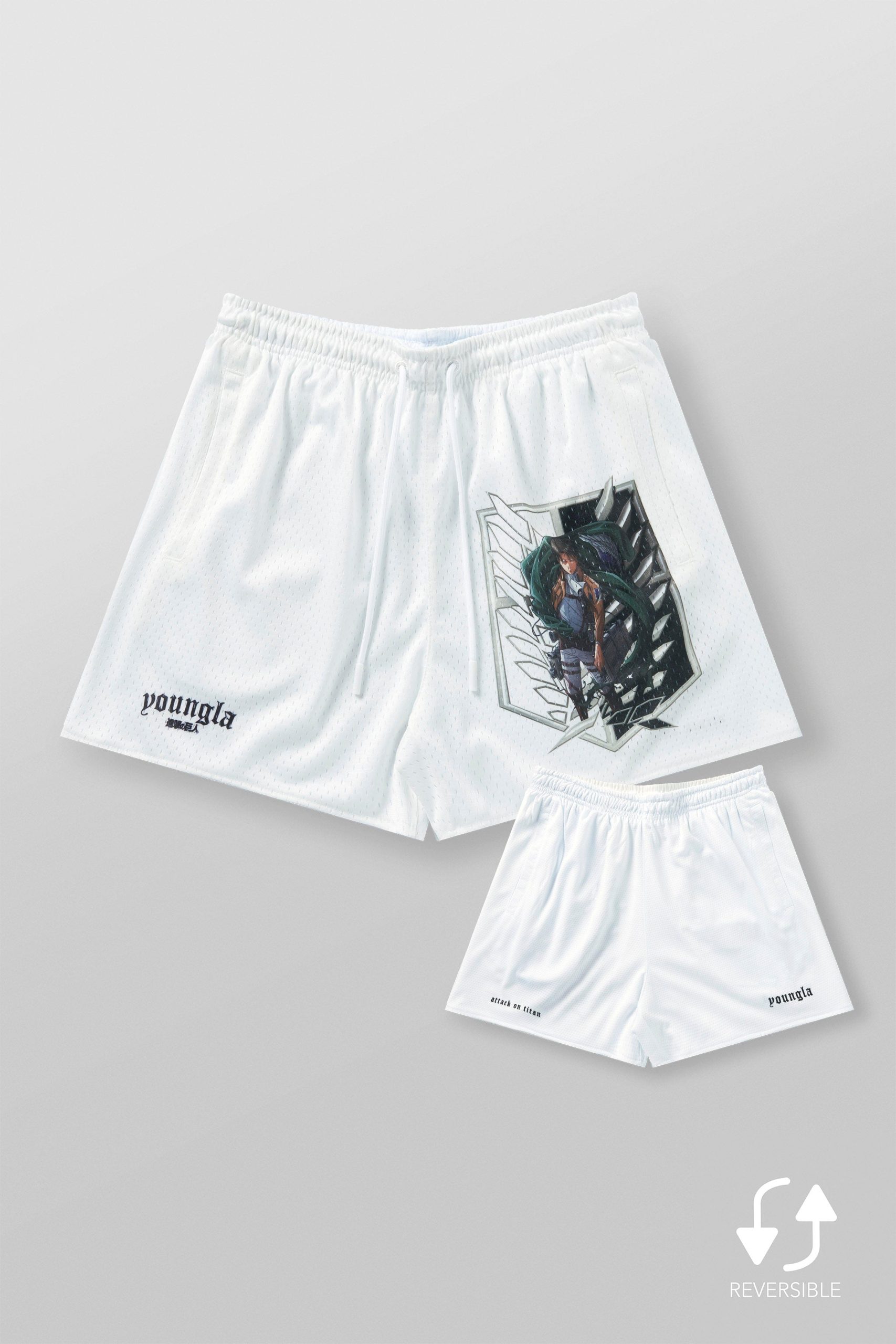 1126 - AOT? x YLA Mesh Shorts - Image 9